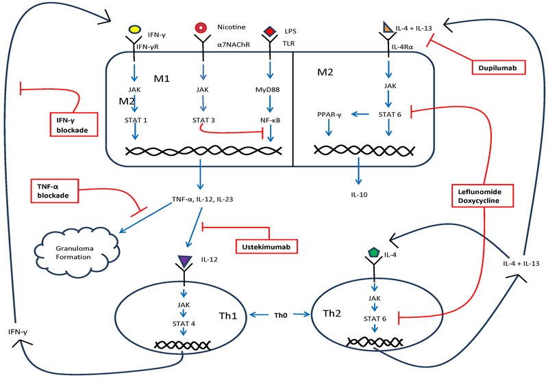 Figure 1.