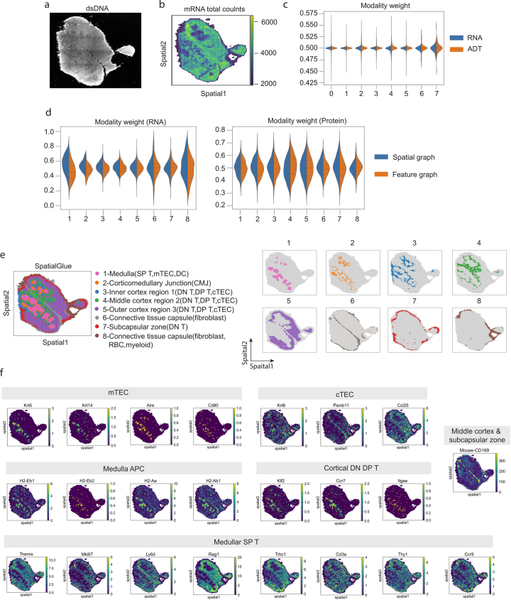 Extended Data Fig. 8