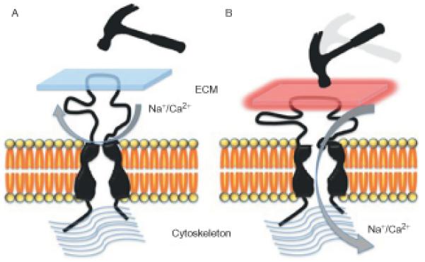 Figure 1.3