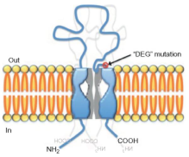 Figure 1.1