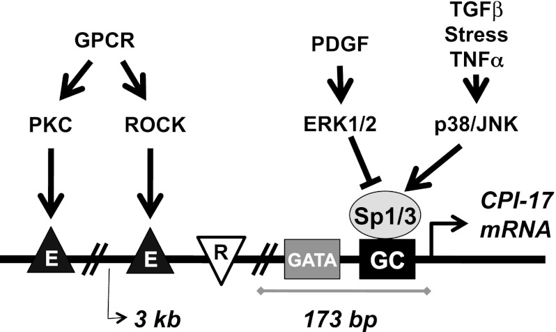 Fig. 9.