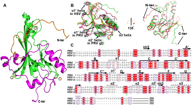 Fig 3