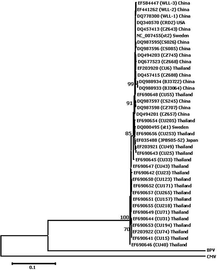 Figure 2