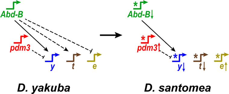 Figure 7.