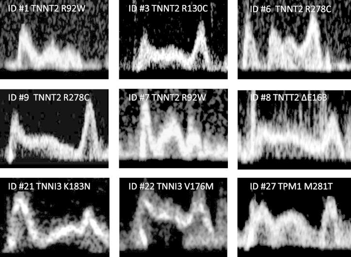 Figure 4