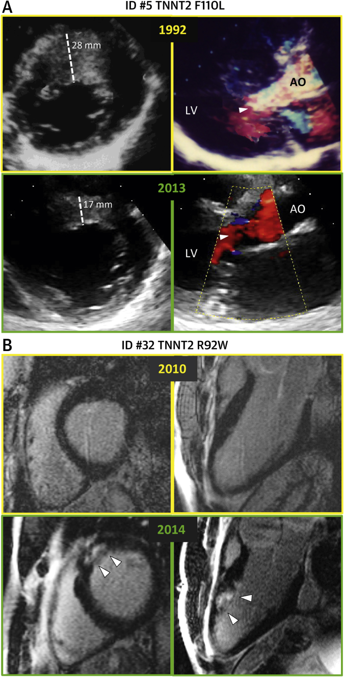 Figure 6