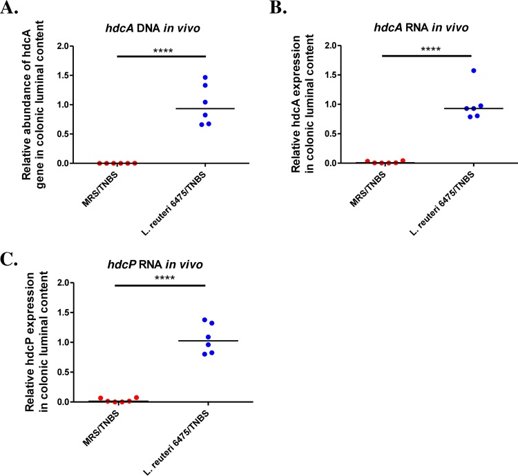 FIG 3 