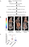 FIG 2