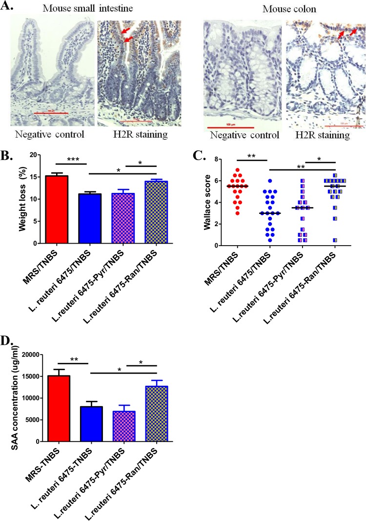 FIG 6 