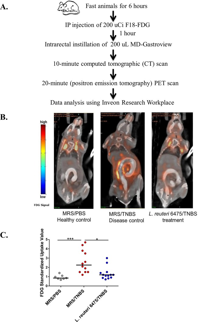 FIG 2 