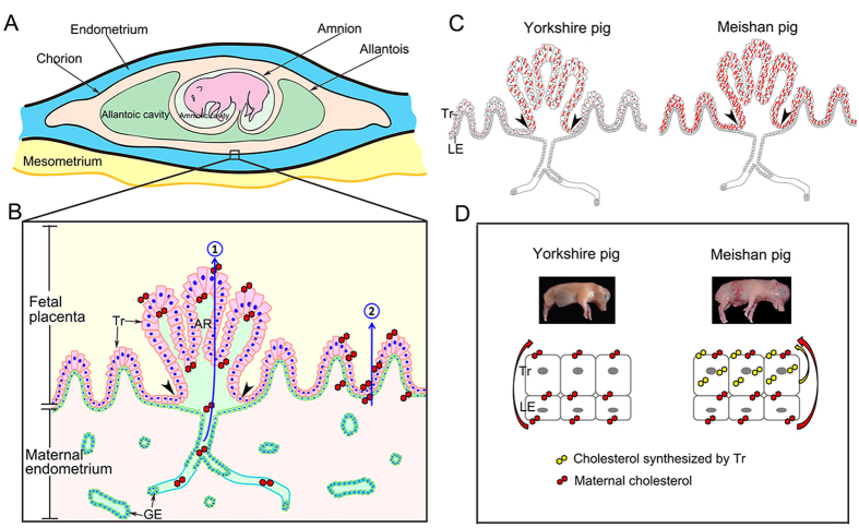 Figure 10