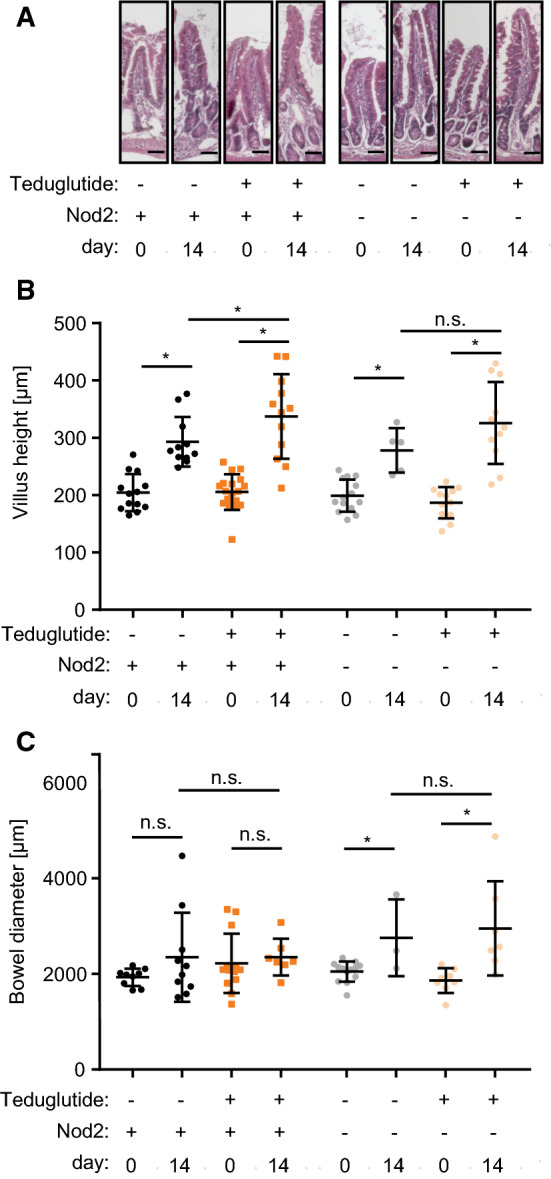 Fig. 4