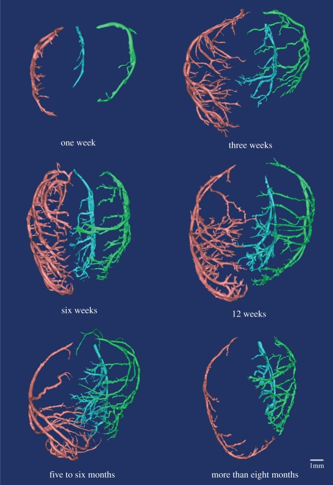 Figure 2.