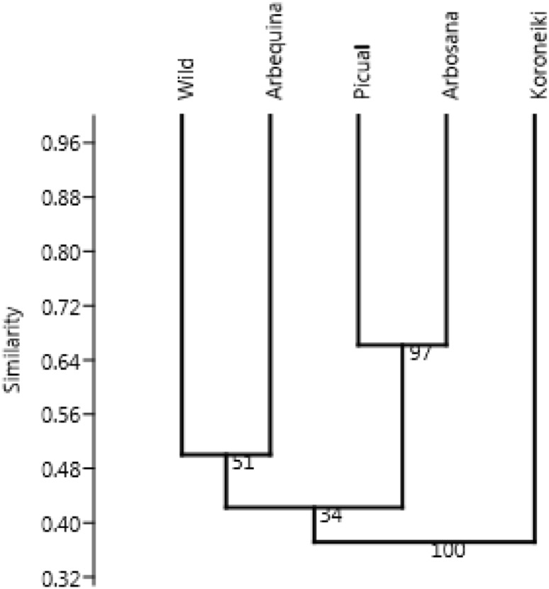 Fig. 2