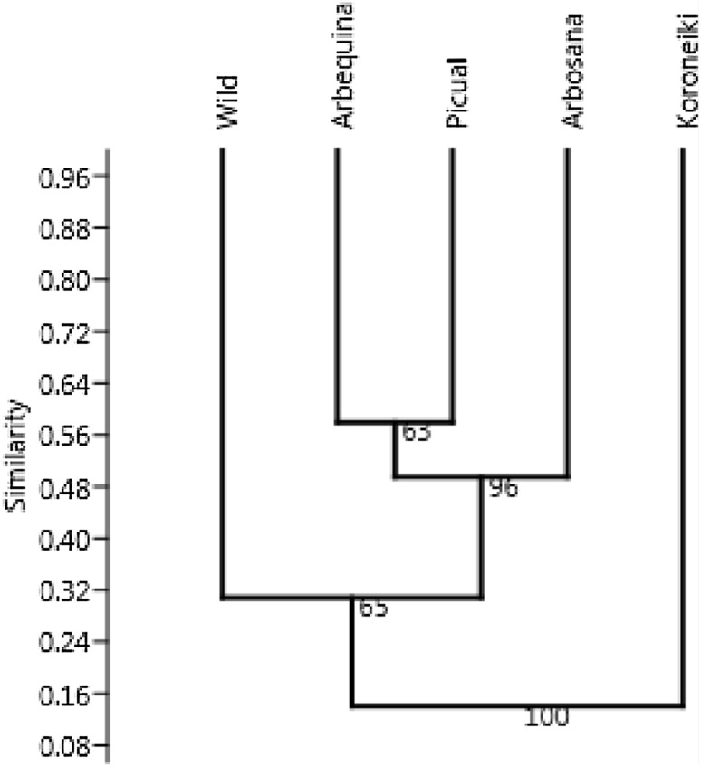 Fig. 1