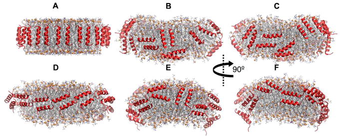 Fig. 10