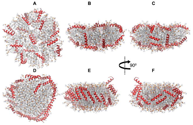 Fig. 8