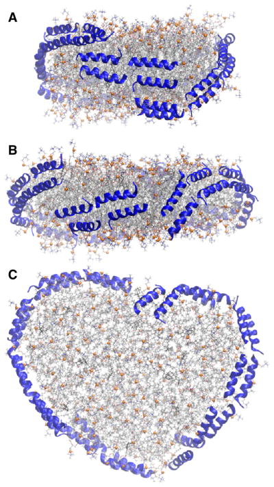 Fig. 12