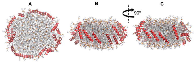 Fig. 9