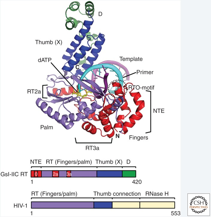 Figure 5.