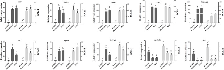 FIGURE 6