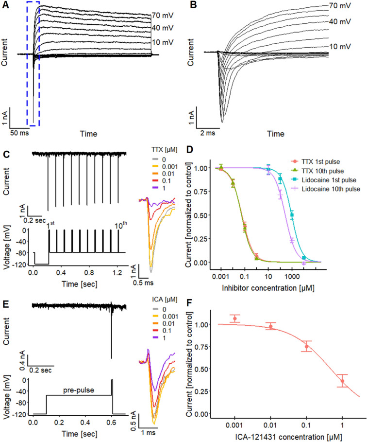 Fig. 4