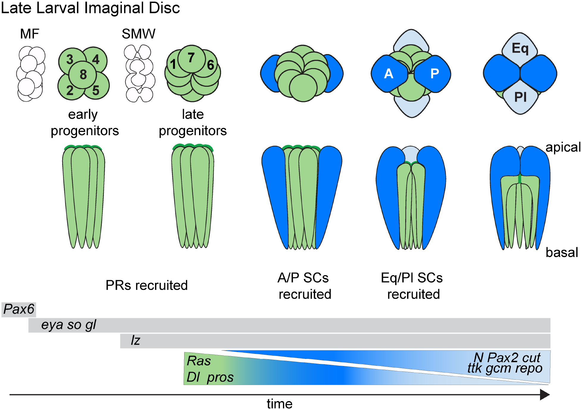 Figure 2: