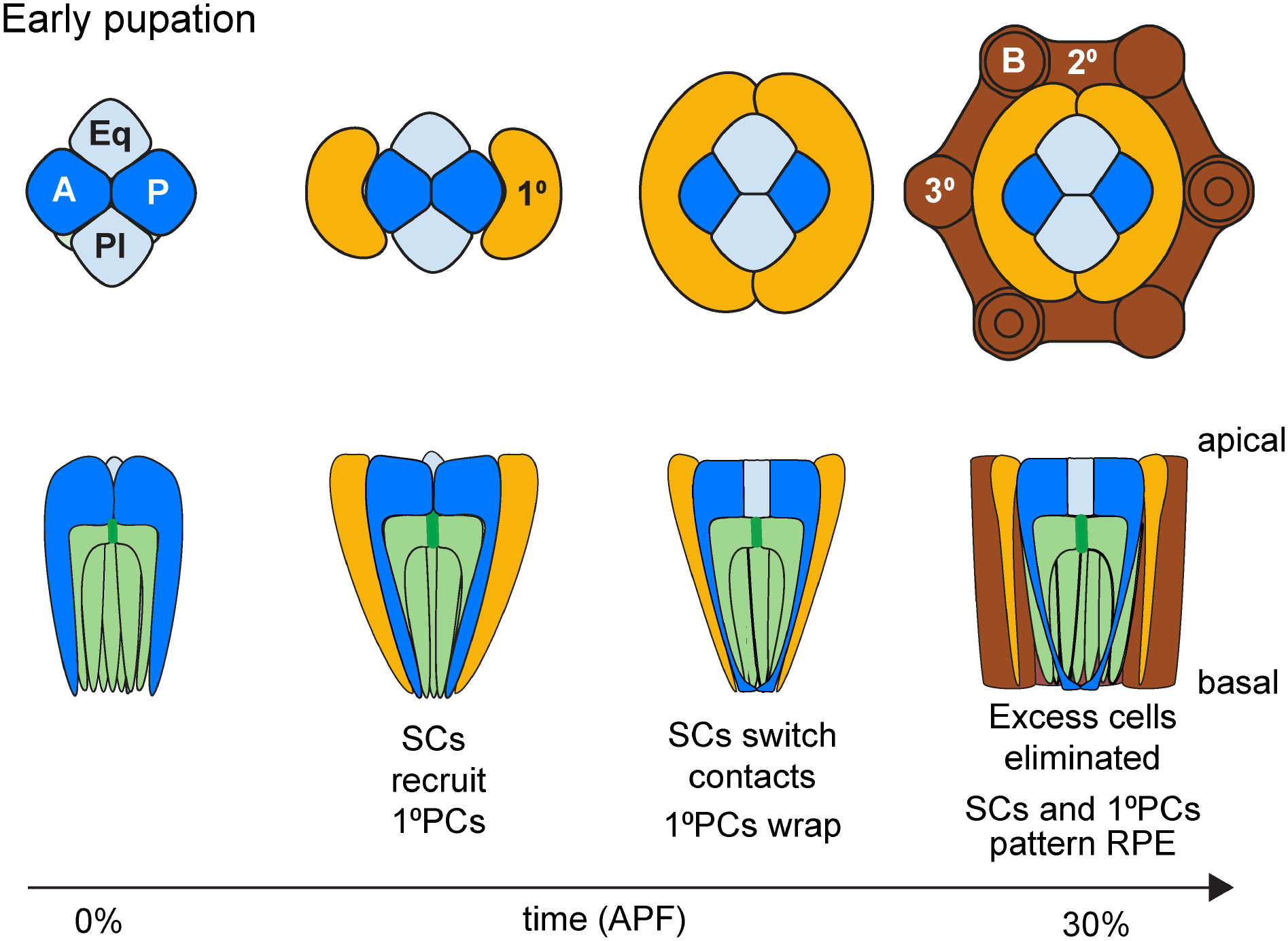 Figure 3: