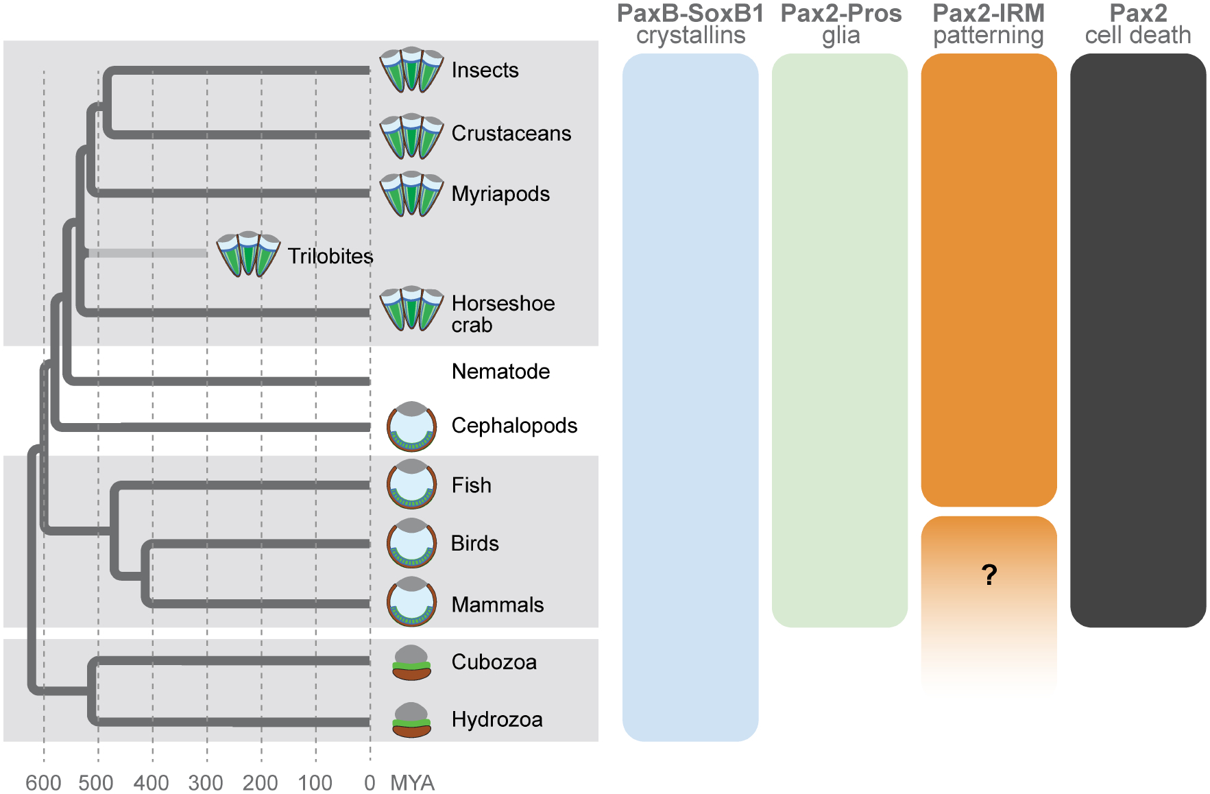 Figure 6: