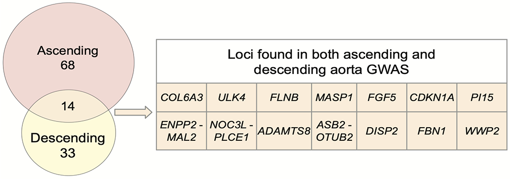 Figure 2 |