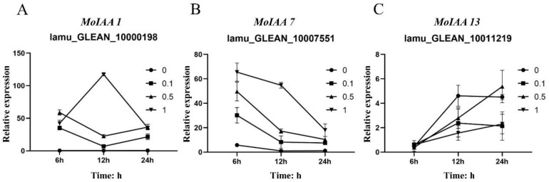 Figure 7