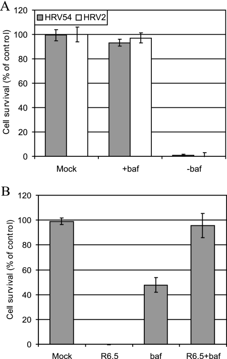 FIG. 8.