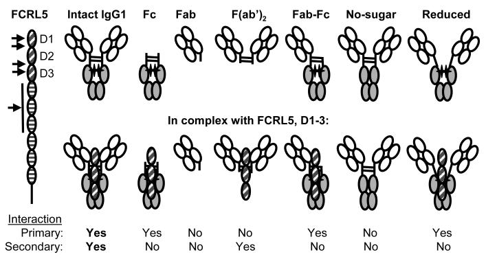 Fig. 5