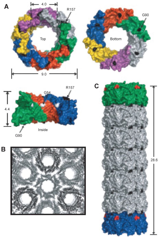 Figure 10