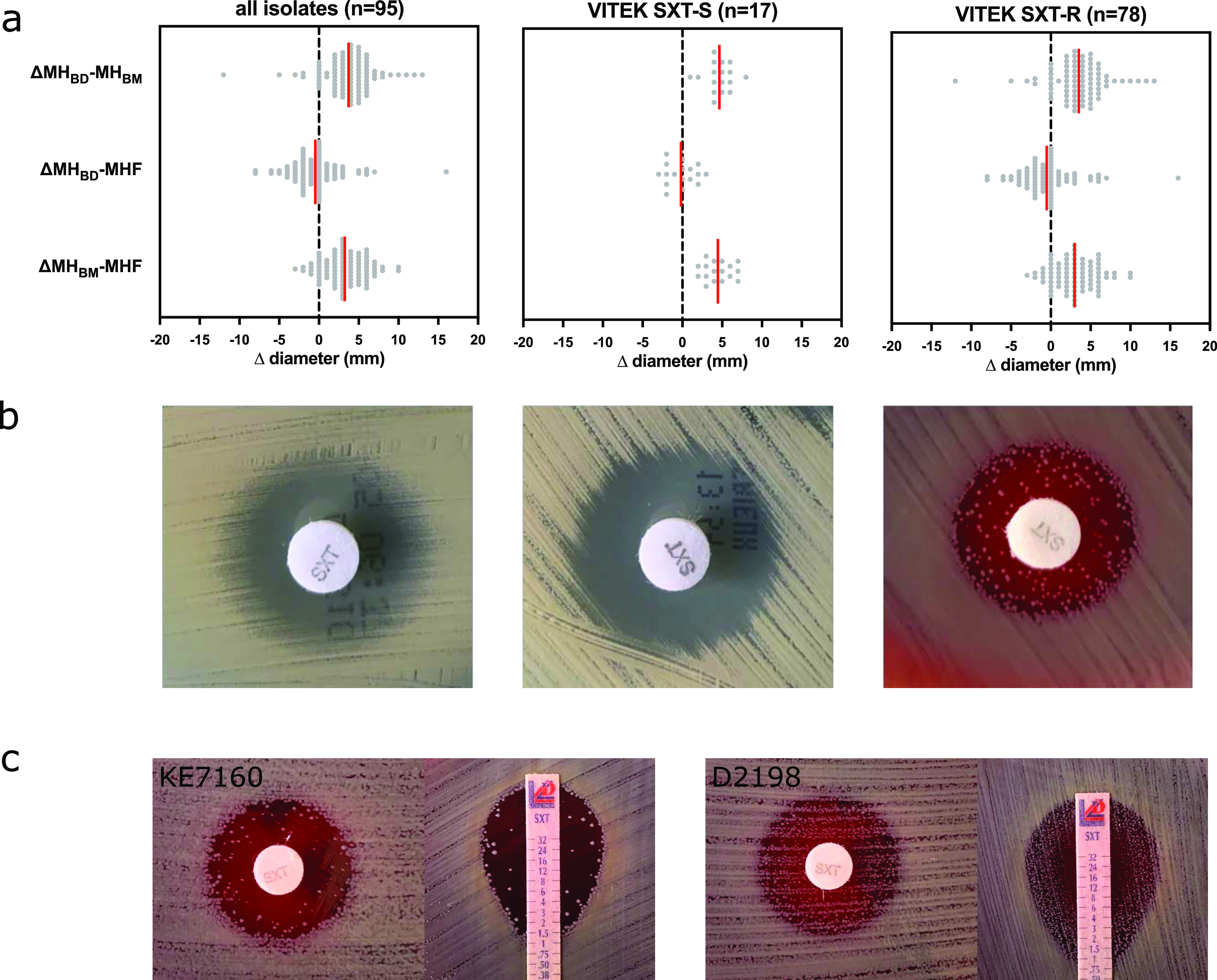 FIG 1