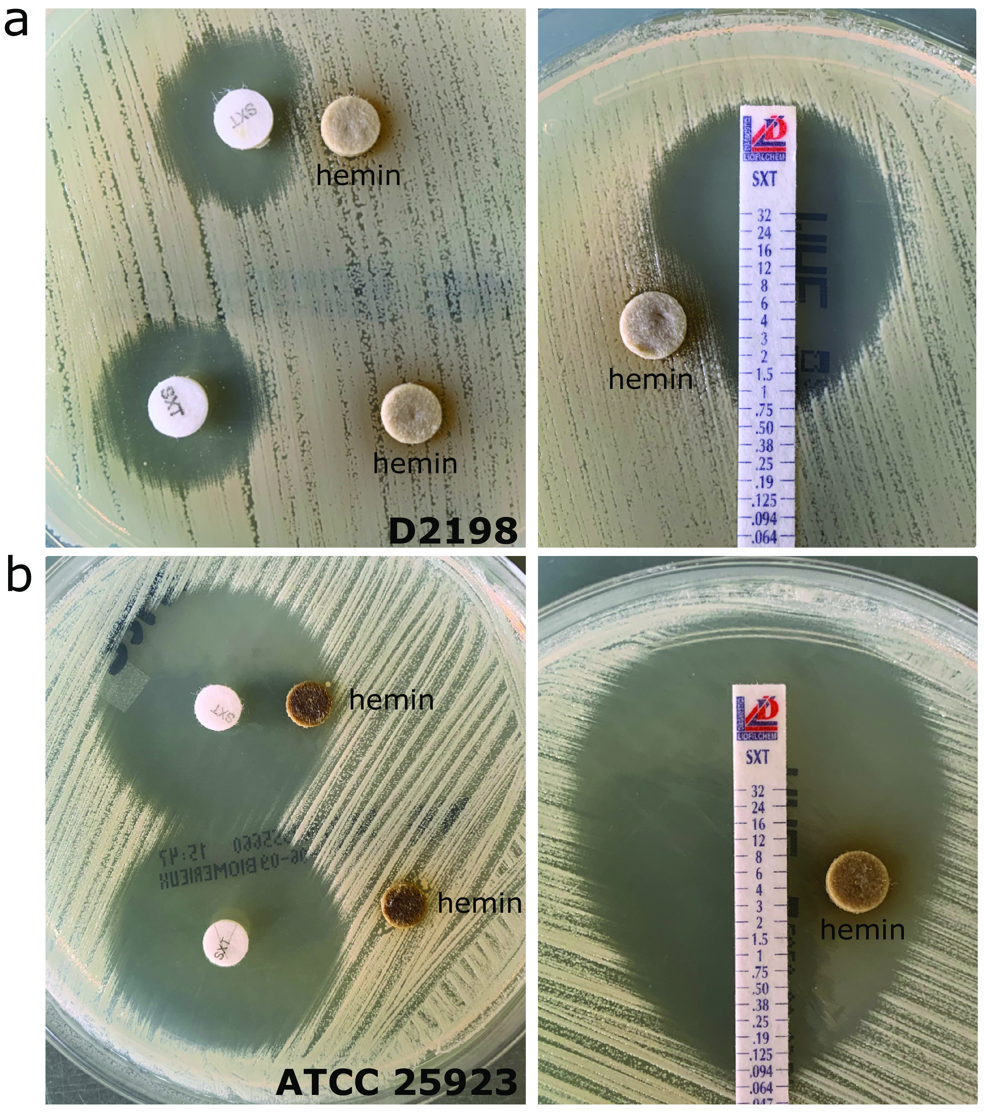 FIG 3