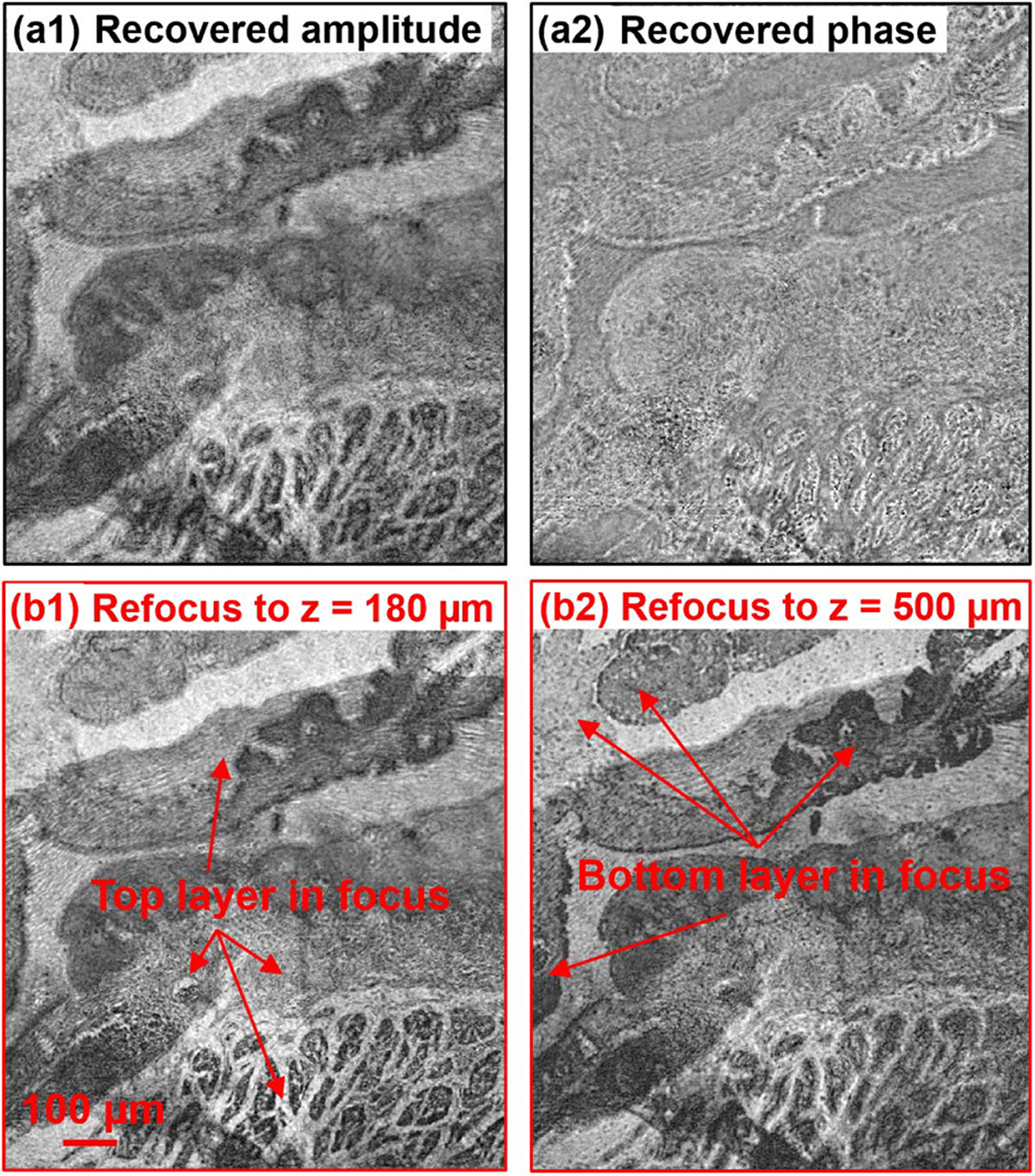 Fig. 6.