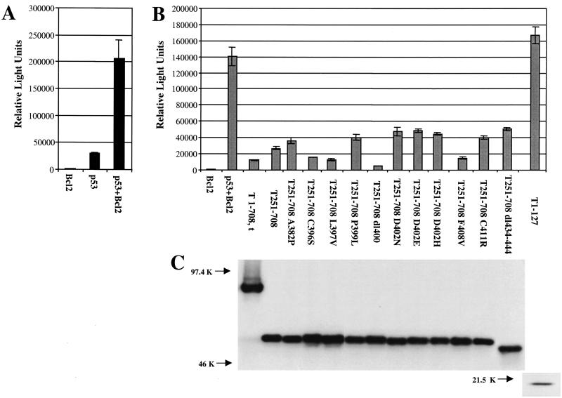 FIG. 6.