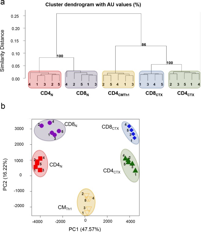 Figure 3—figure supplement 2.