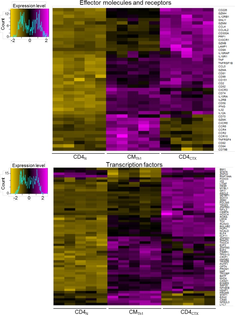 Figure 5—figure supplement 1.