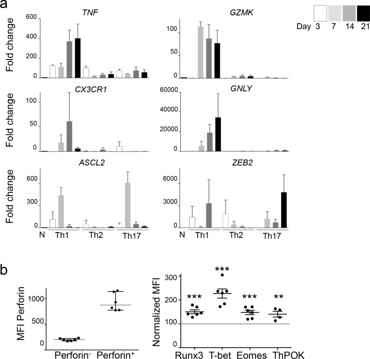 Figure 6—figure supplement 2.