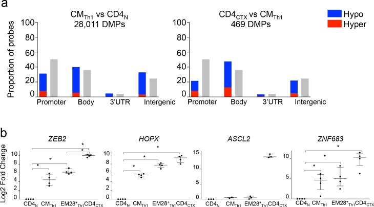 Figure 5—figure supplement 2.