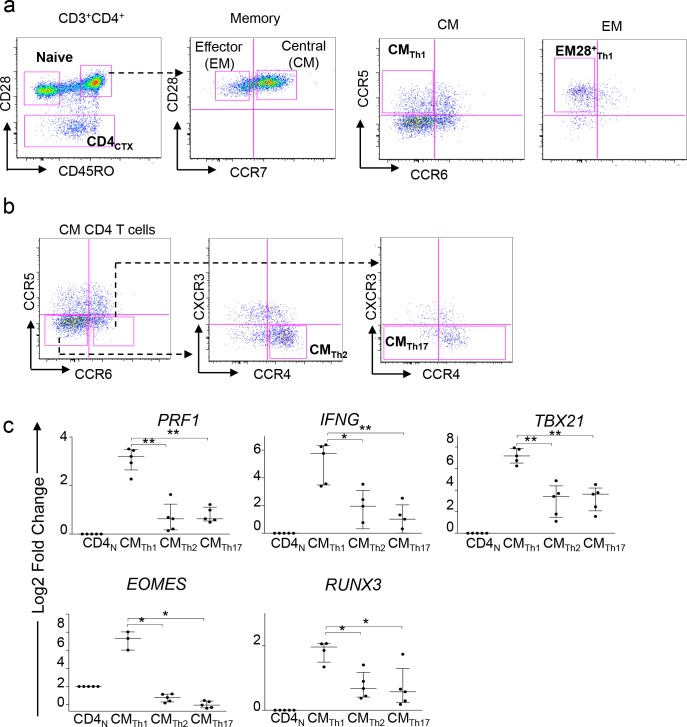 Figure 3—figure supplement 1.