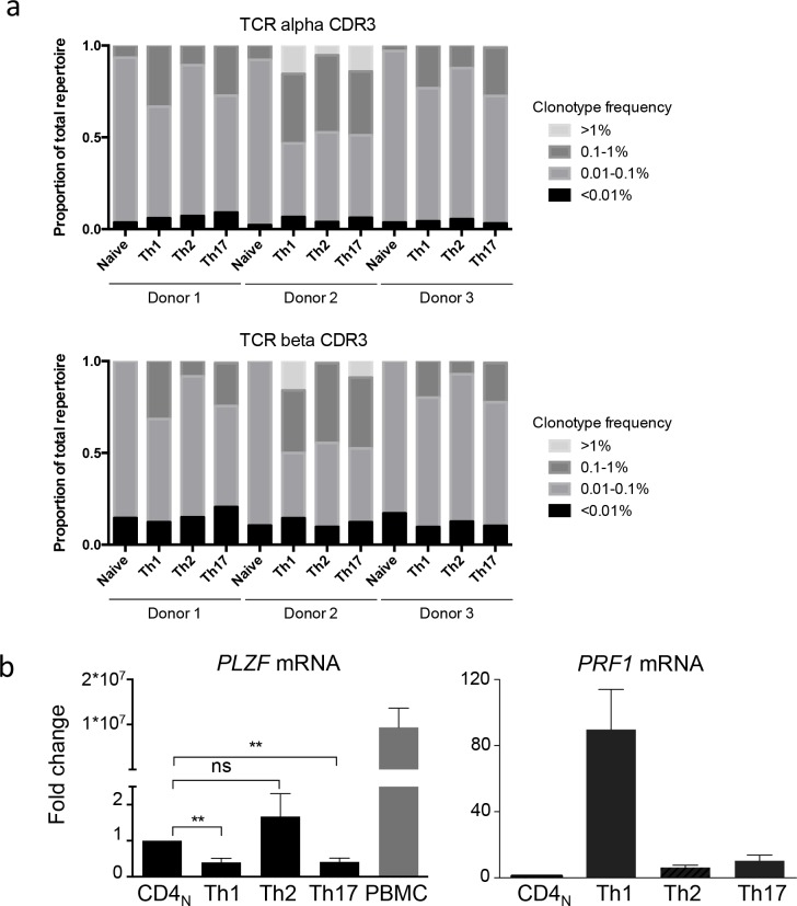 Figure 6—figure supplement 1.