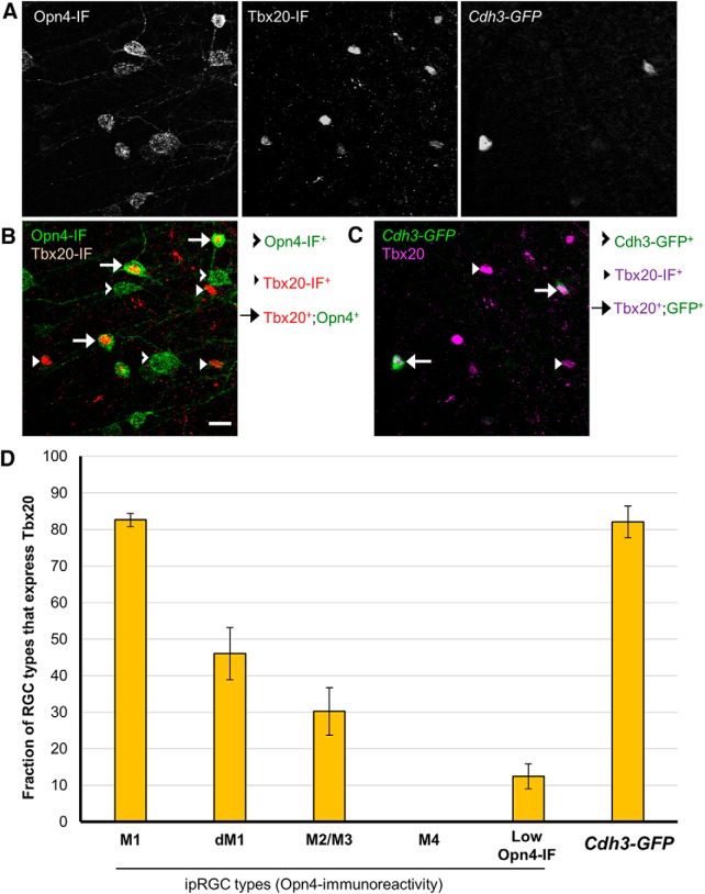 Figure 12.