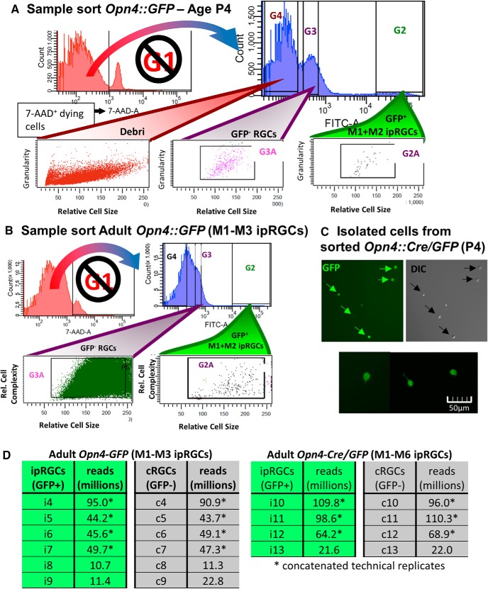 Figure 2.