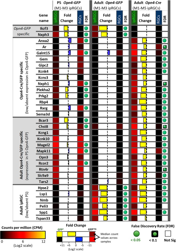 Figure 7.