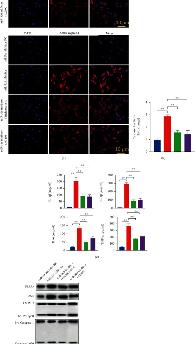 Figure 6