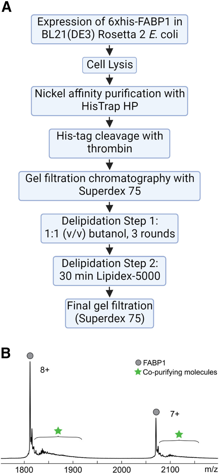 Fig. 2.