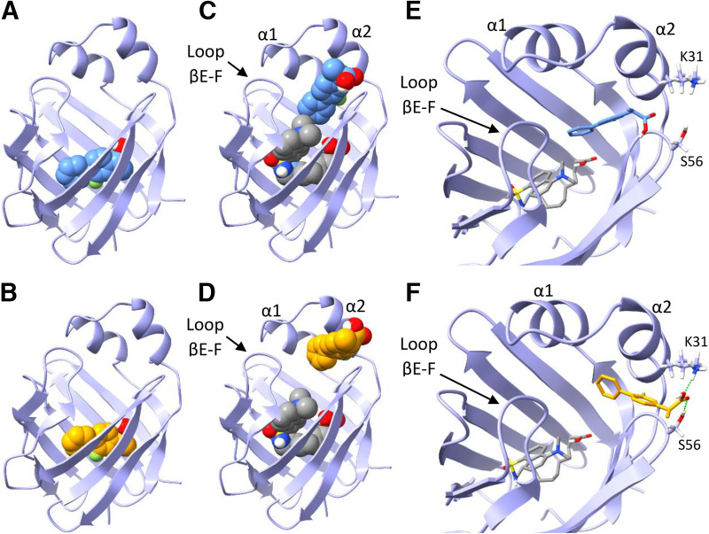 Fig. 8.